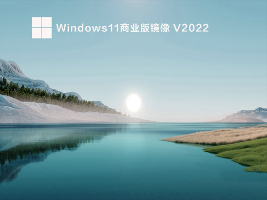 大地系统windows11商业版镜像