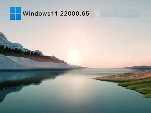 Windows11精简版 V22000.65 极速优化版 