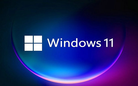 电脑公司windows11简体中文版专业版