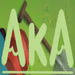 Aka游戏Steam中文版
