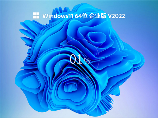 windows11中文企业版 v2022