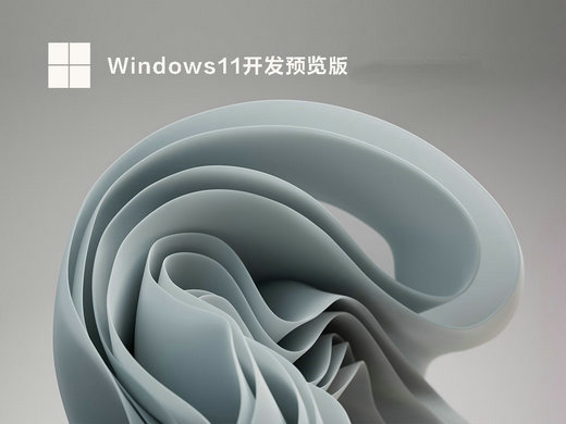 win11开发者预览版