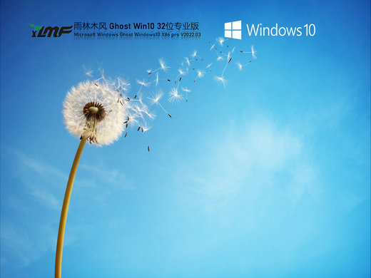 雨林木风Ghost Windows10 X32装机专业版