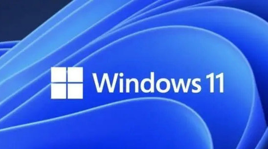 电脑公司windows11专业版安装版