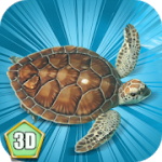 海龟模拟器 v1.31