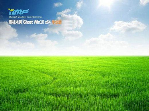 雨林木风Ghost Win10标准专业版
