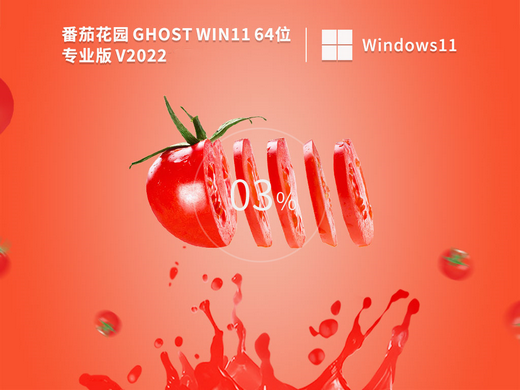 番茄花园Ghost Win11专业免费版