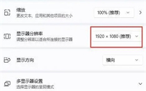 win11专业版分辨率只有两个怎么办 win11专业版分辨率只有两个解决方法