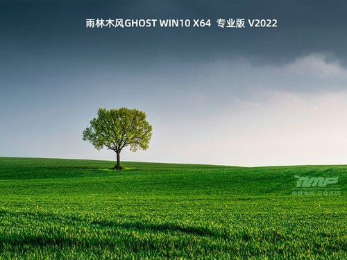 雨林木风Ghost Windows10特别专业版