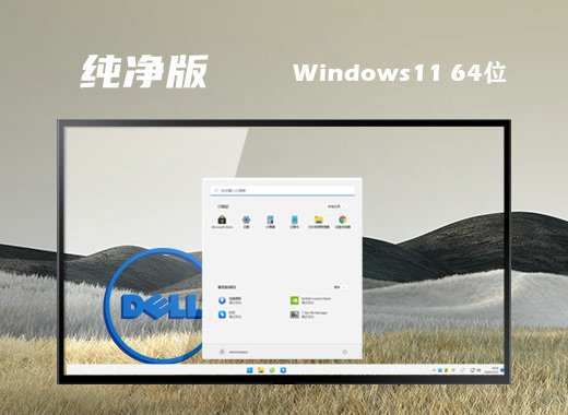 戴尔笔记本Win11 21H2纯净优化版镜像 v2022.11