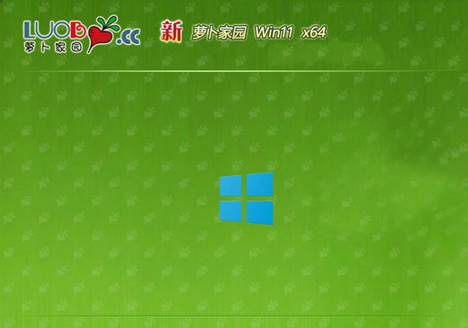 萝卜家园windows11完美优质版 v2022.11