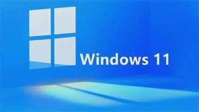 windows11家庭版和专业版有什么区别 家庭版和专业版区别介绍