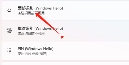 windows11面部识别怎么设置 windows11面部识别设置方法