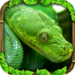 蟒蛇模拟器 v1.5