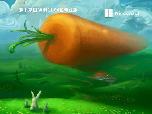 萝卜家园Ghost Windows11高效专业版