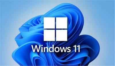 win11摄像头显示一把锁怎么回事 win11摄像头显示一把锁解决办法