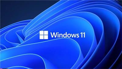 windows11更新需要备份吗 windows11为什么更新要备份