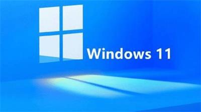 windows11小组件显示有问题怎么回事 windows11小组件显示有问题解决方法