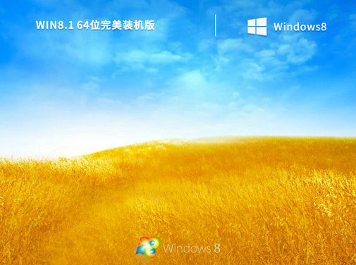 Windows8.1完美装机版 v2023