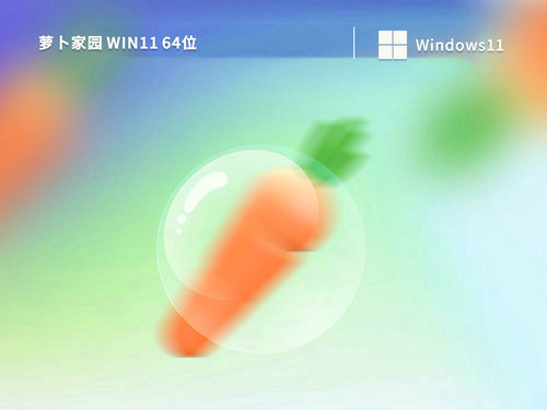 萝卜家园win11中文家庭版系统 v2023