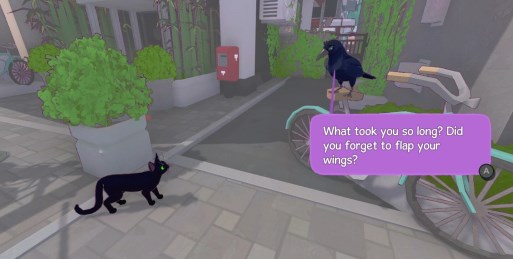 小猫咪大城市最新版