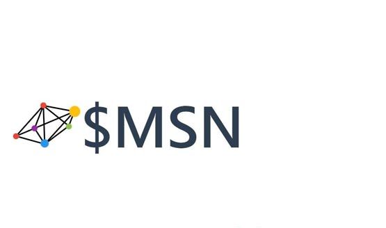 MSN代币上交易所是真的吗？