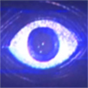 波比的游戏时间手机版 v0.3.0