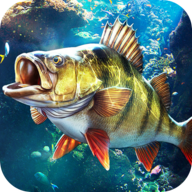 欢乐钓鱼大师正版官服 v1.0