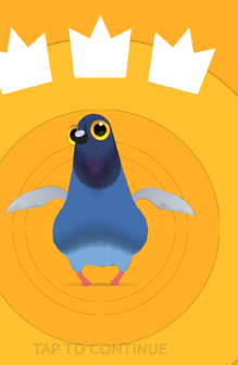 疯狂的鸽子破解版