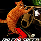 猫司机游戏 v13.1