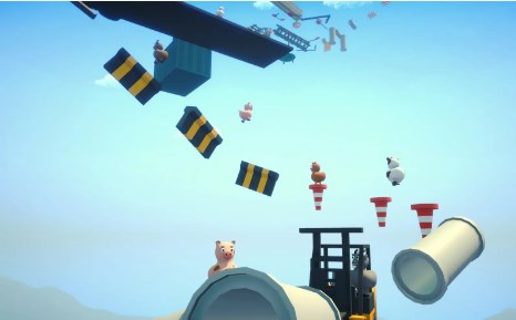 攀爬动物在一起游戏