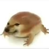 我的刀盾手机版 v1.0