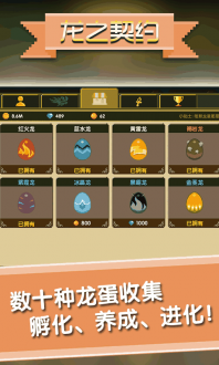 龙之契约无限钻石版