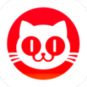 猫眼电影专业版 v9.80.0