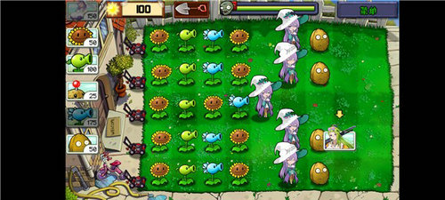 植物娘大战僵尸庄不纯版