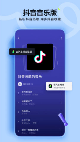 汽水音乐手表版