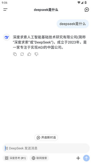 deepseek软件