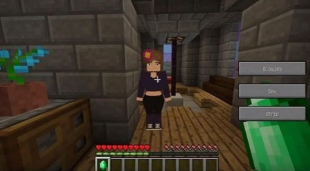 我的世界珍妮模组完整版无遮瑕最新版