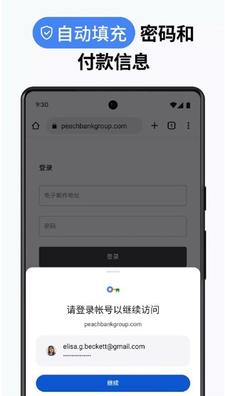 chrome谷歌浏览器