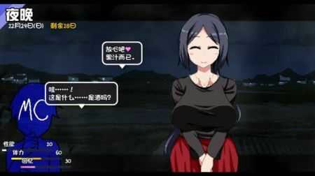 冬日狂想曲冷狐汉化版下载
