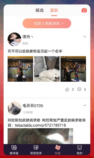猫语翻译器免费版
