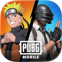 pubg国际服手游下载官方正版 v4.5.0