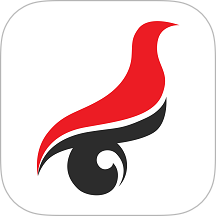 学信网app v2.5.13