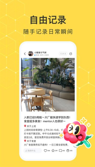 网易小蜜蜂app
