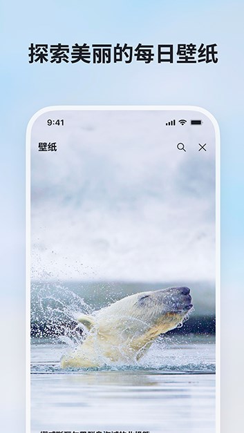 微软必应下载