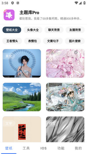 主题库pro