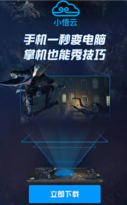 小悟云